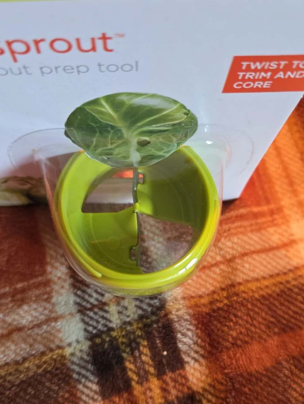 ChefN twist sprout